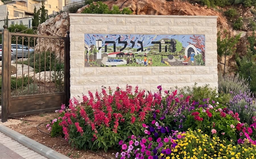 כניסות